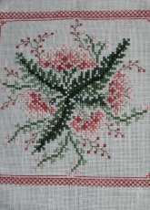 Renato Parolin -- Achillea