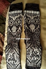 Owl socks