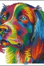 Norsvet - Rainbow Dog