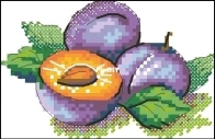 M.P. Studio - M-593 Ripe plums XSD