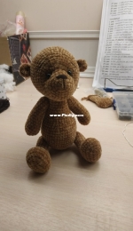 Baby bear