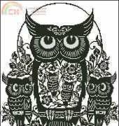 Owls
