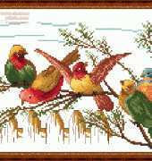 Megat 4043 - Birds Gossips