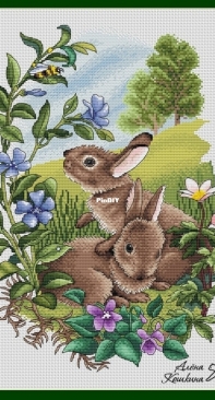 Rabbits by Alena Koshkina