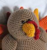 Davey Dreamer - Elizabeth Corbin - Theodore the Turkey