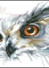 Vervaco 70.146 Owl pcs