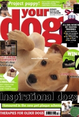 Your Dog - December 2018