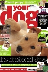 Your Dog - December 2018