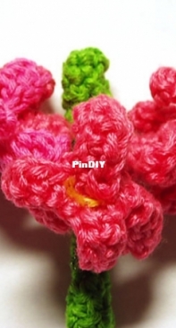 Meli Bondre - Camelia Shanahan - Garden Hyacinth - Free