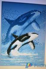 Janlynn 013-0306-Whale
