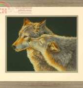 Dimensions 70-35283 Wolf Kiss XSD and PCS