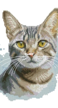 Banani Stitchery - Watercolor Tabby Cat by Anna Banani XSD