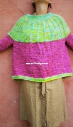 Watermelon Sweater by Charlotte Spagner-Free