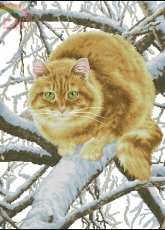 Zolotoe Runo K-010 - Red Cat
