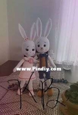 rabbit
