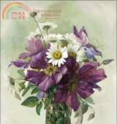 Golden Kite 2091 - Large Purple Clematis and White Daisies