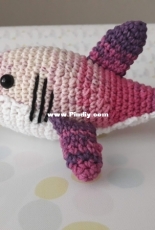 My shark