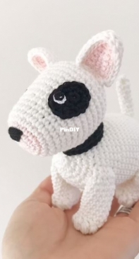 Aidie and Jellybean - Chie Powles - Cassie the Bull Terrier Puppy