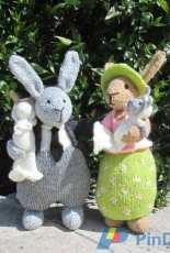 rabbit family