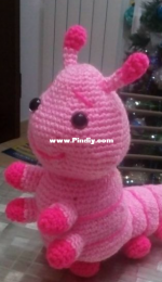 pink caterpillar