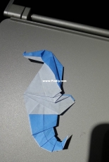 hippocampus paper