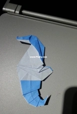hippocampus paper