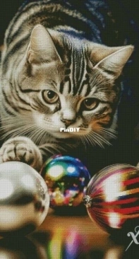 Chimera - Holiday`s coming 3