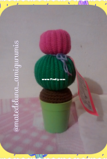 Cactus terminado