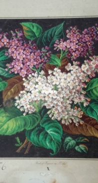 Hertz & Wegener 5734 Lilacs  XSD+PCS