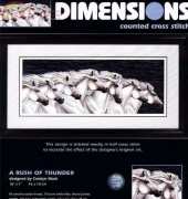 Dimensions 35069  A Rush of Thunder