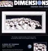 Dimensions 35069  A Rush of Thunder