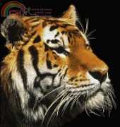 Golden Kite 499 - Golden Tiger (small)
