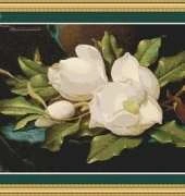 StitchX Cross Stitch Designs - Magnolias