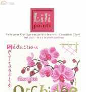 Lili Points J002 Orchidee