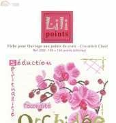 Lili Points J002 Orchidee