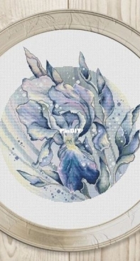 Iris by Irina Dargele XSD