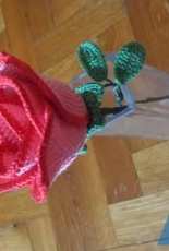 Rose again