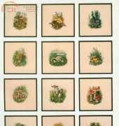 Toadstools - Calendar 1983
