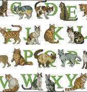 Cat Alphabet by Francien van Westering from Embroidering Cats with Francien XSD
