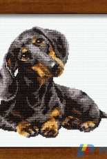 Riolis 906 Daschound