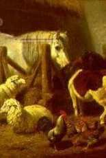 Artecy Cross Stitch - Barnyard - Arthur Fitzwilliam Tait