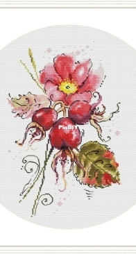 Rosehip by Yuliya Do / Julia Dormidontova