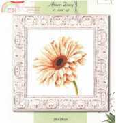 Lanarte 34901 - African Daisy In Close-Up