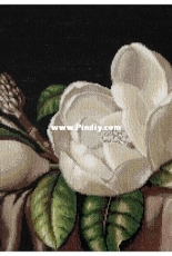 Luca-S B484 - Magnolia