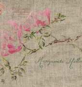 MTSA - Rose Marguerite Hilling