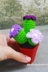 Amigurumi Cactus mini 6