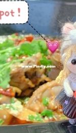 Cat Xiaodian