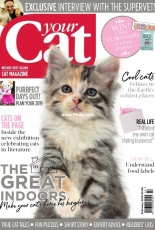 Your Cat – February 2019