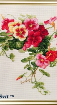 LanSvit A-003 Nasturtiums