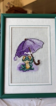 Yasha the Froggie is framed
